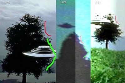 Tree Comparison_0.jpg